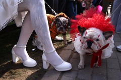 Фото © Анастасия Романова / Абзац