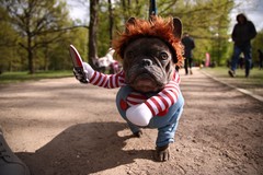 Фото © Анастасия Романова / Абзац