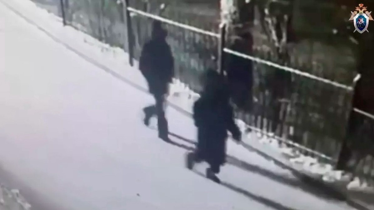 Мошенники заставили девушку похитить сына красноярского бизнесмена