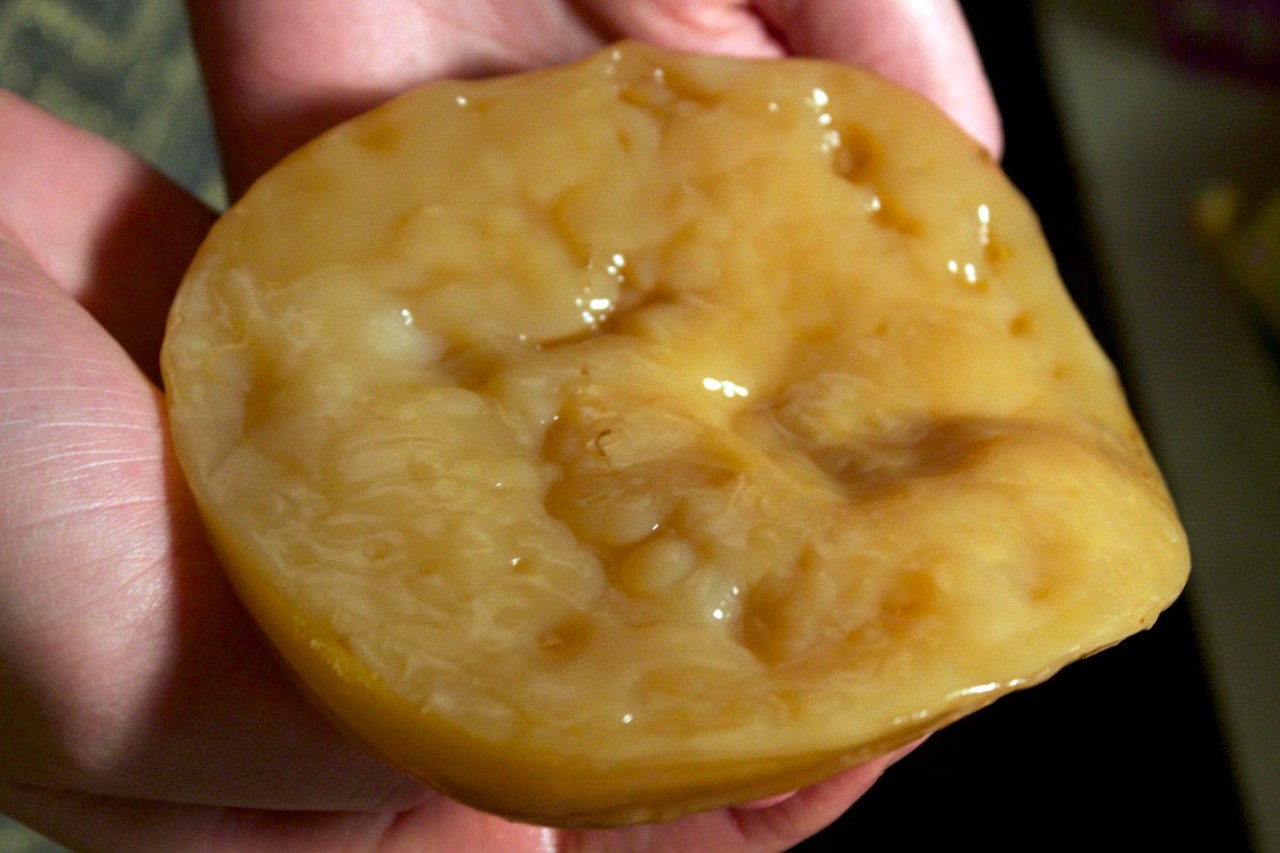 Оживляем бабушкин рецепт: полный гид по чайному грибу для современных хозяек