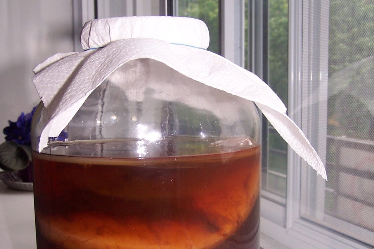 Оживляем бабушкин рецепт: полный гид по чайному грибу для современных хозяек