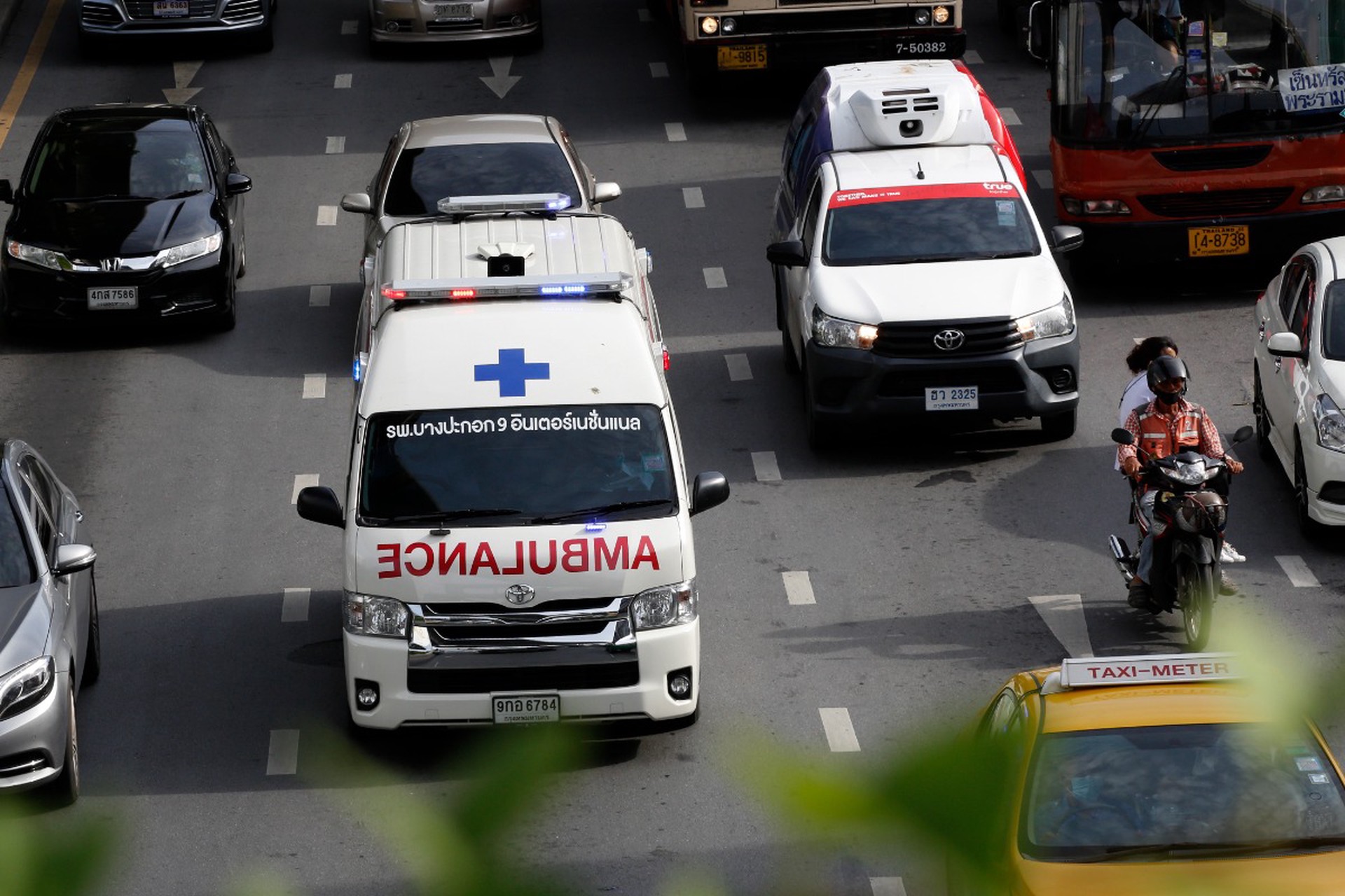 Смертельное королевство унесло жизни сотни человек в Новом году 