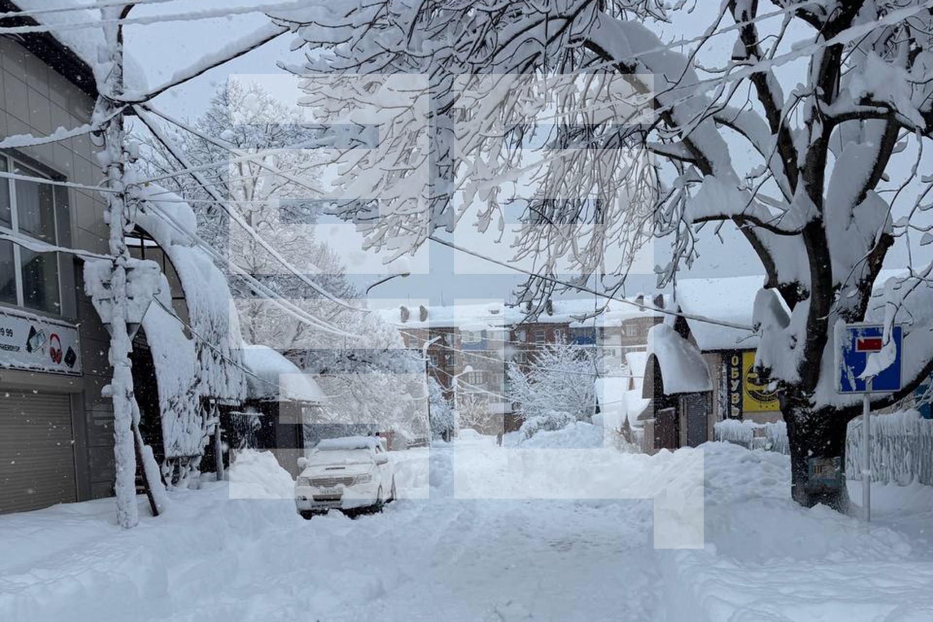 «Полный хаос»: жители Краснодарского края – о снежном коллапсе в регионе