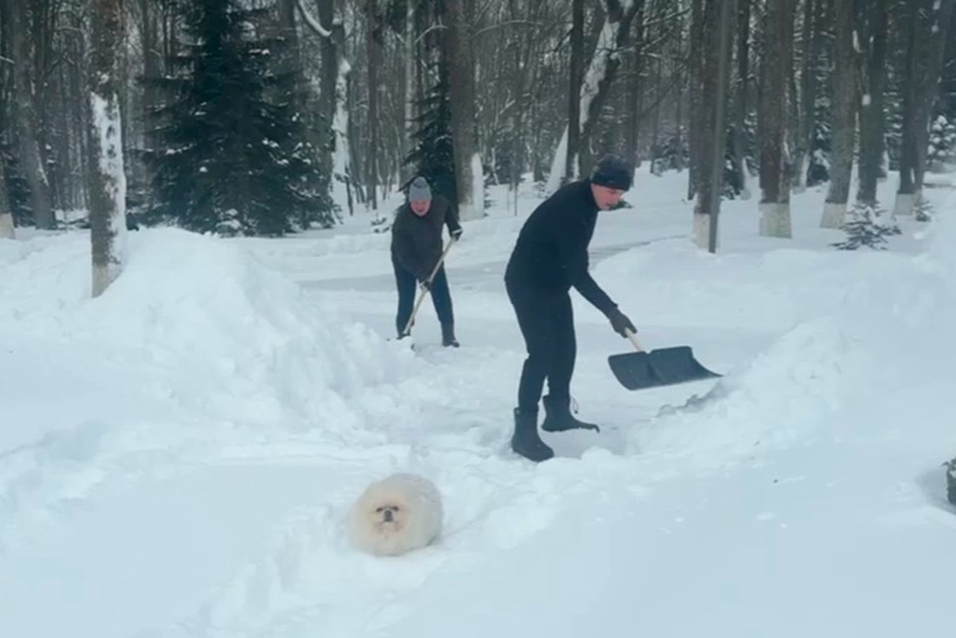 Минск накрыл снегопад: Лукашенко с семьей вышел грести снег лопатой