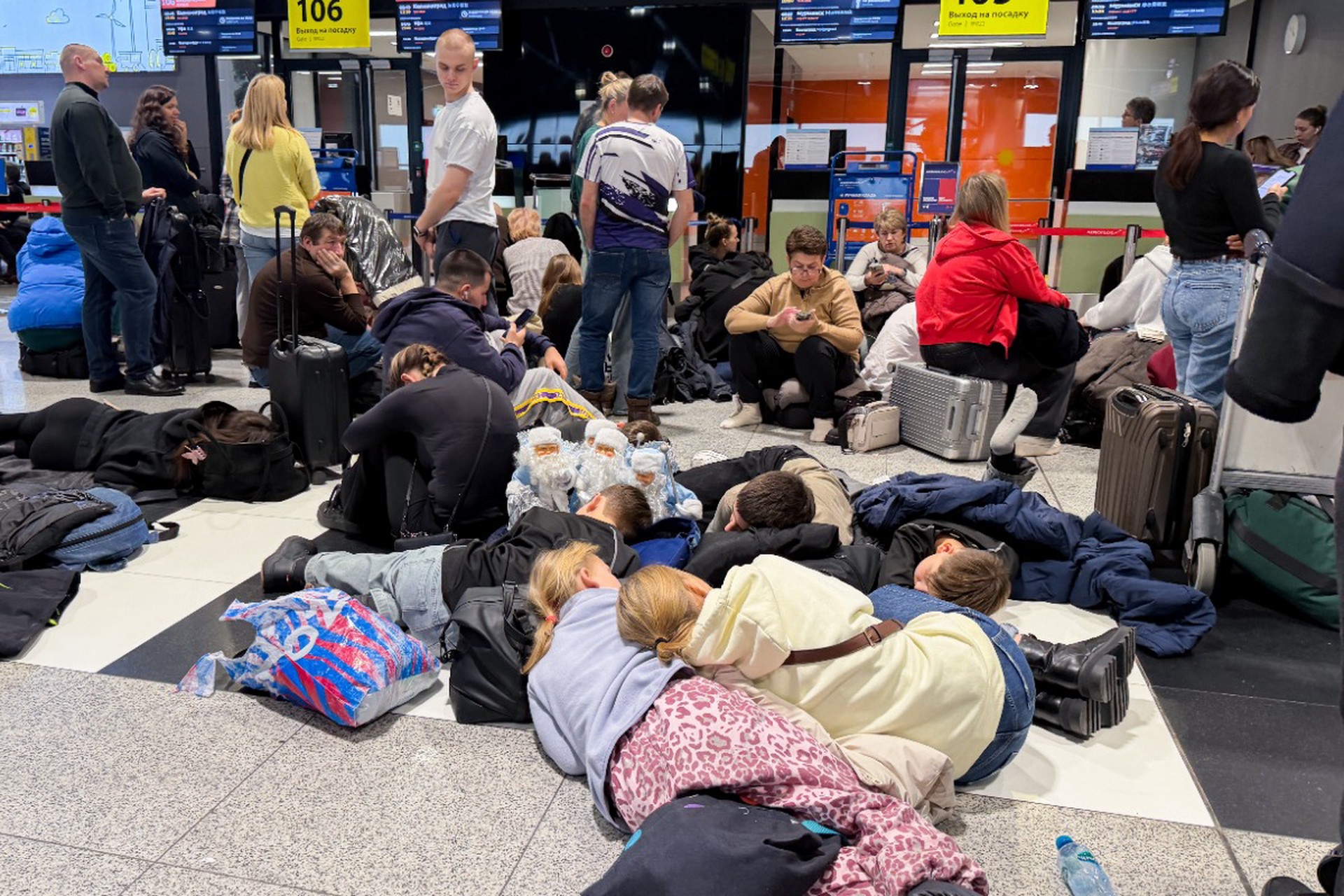 Коллапс с выдачей багажа произошел в Шереметьеве
