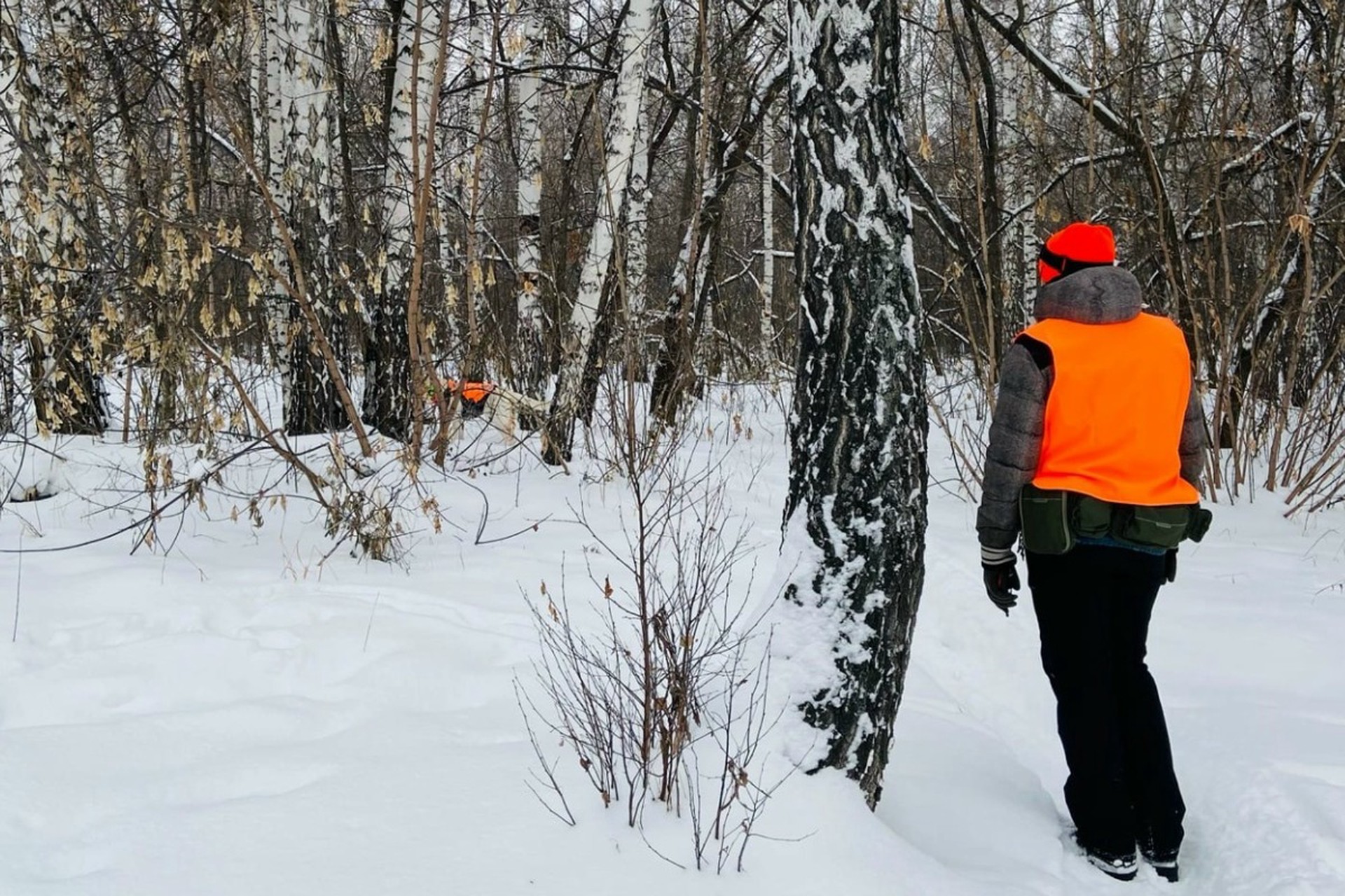 В российском регионе пропал подросток