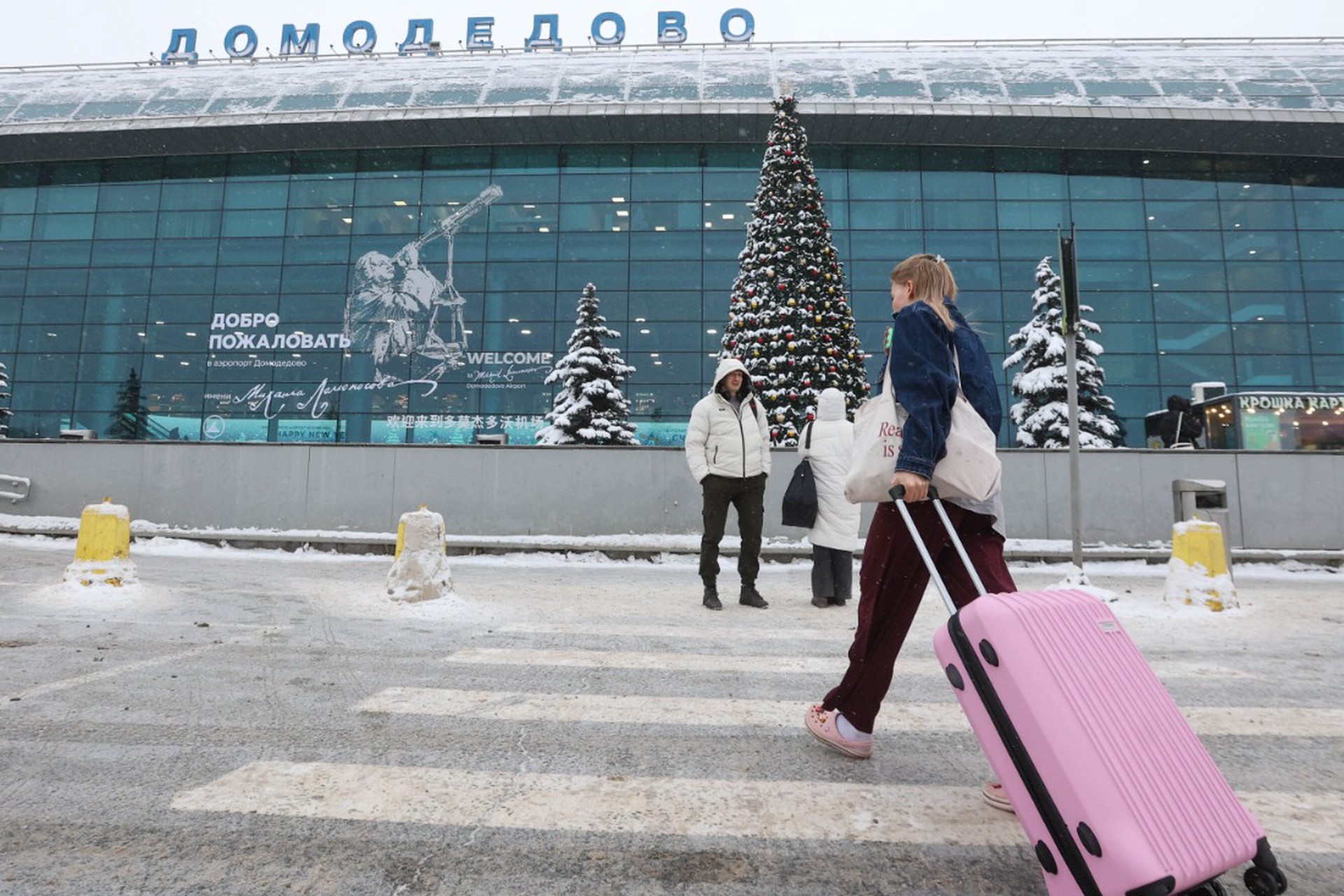 Названа стоимость аэропорта Домодедово на аукционе