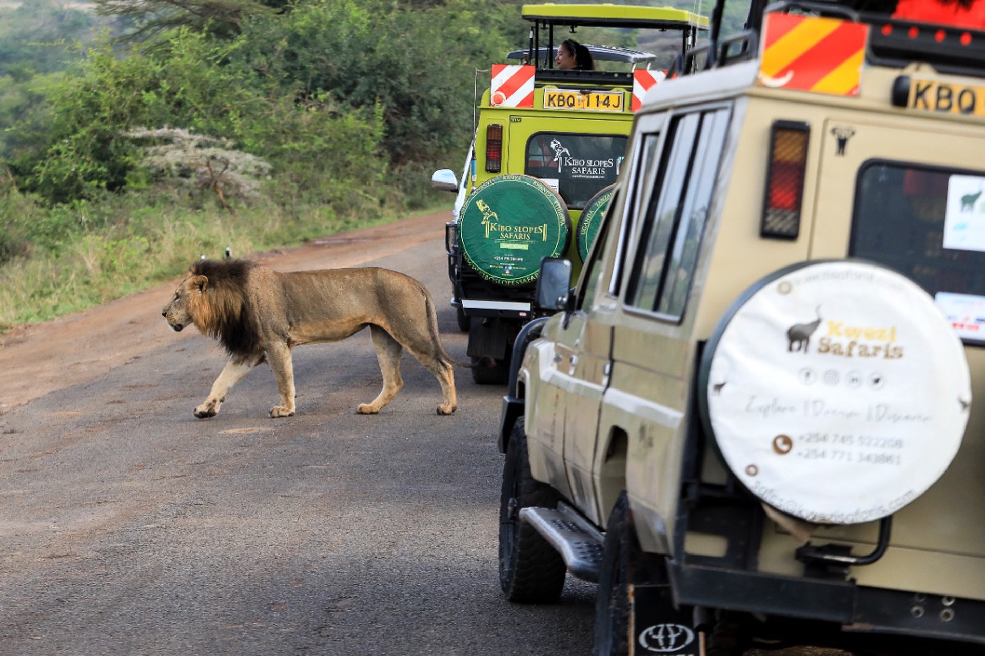 На российских туристов начали нападать во время отдыха за границей