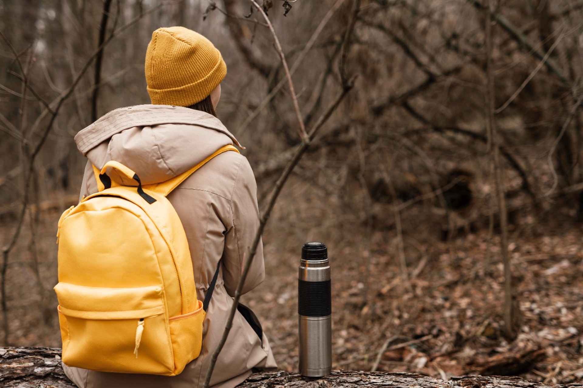 Регулярный контакт с природой оказался способен улучшить работу мозга