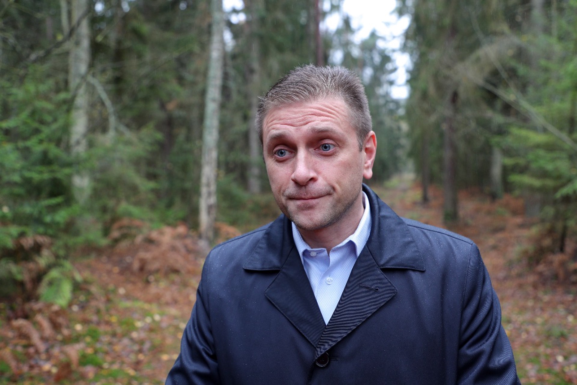 Директора «Куршской косы» задержали за незаконную вырубку леса