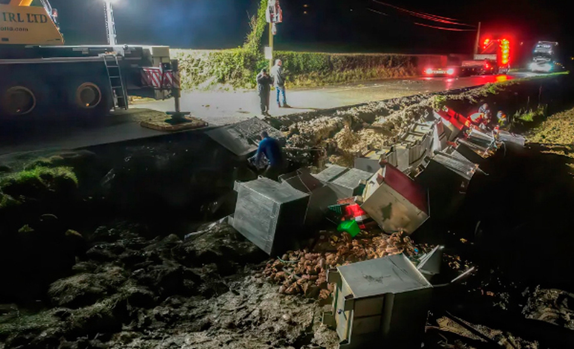 Тысячи морских жителей сбежали из перевернувшегося грузовика 