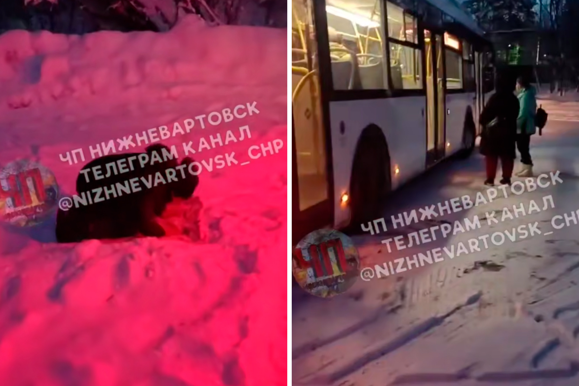 Водитель автобуса совершал намаз, оставив пассажиров мерзнуть на морозе