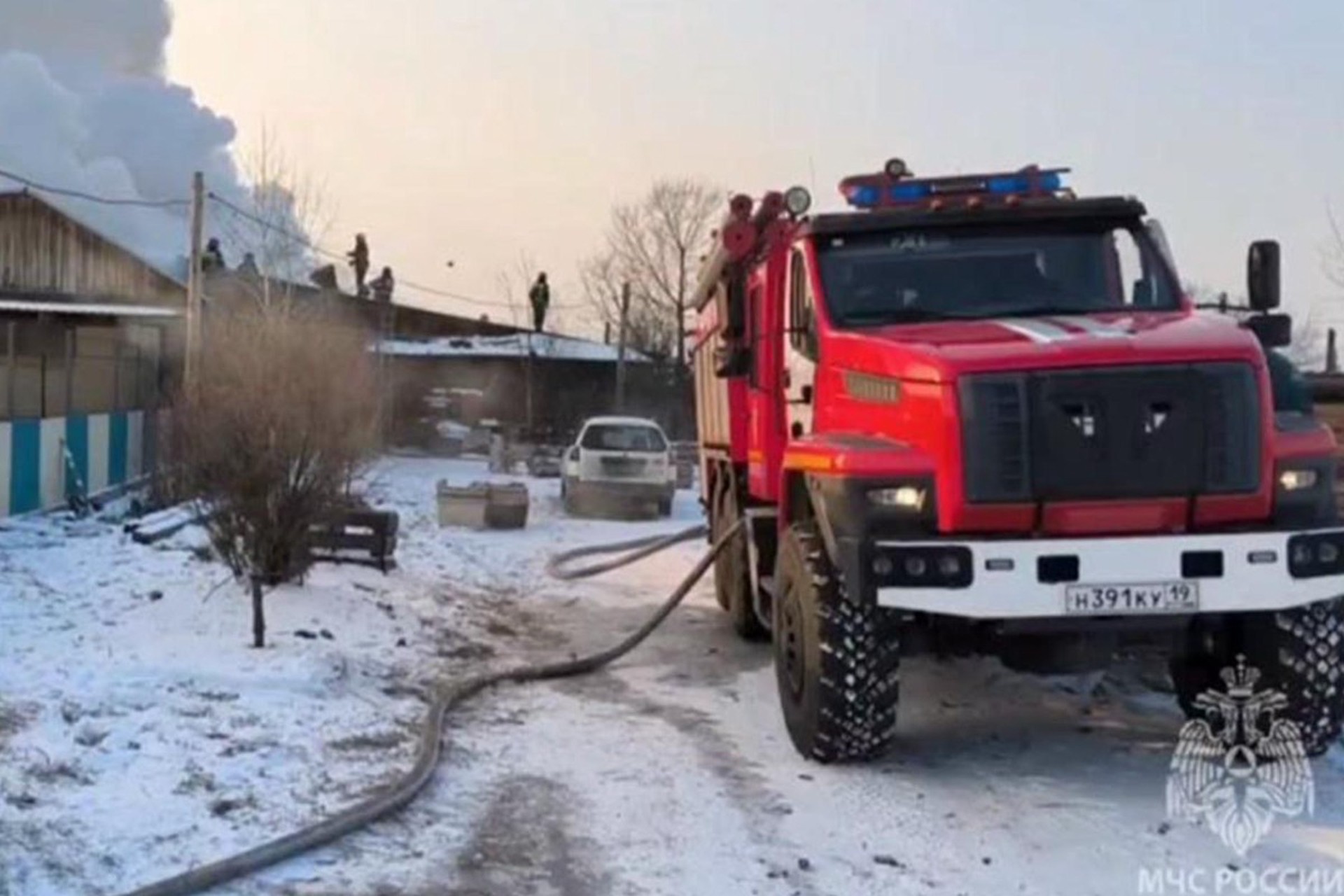 Пожарные спасают животных из горящего приюта «Каштанкин дом»