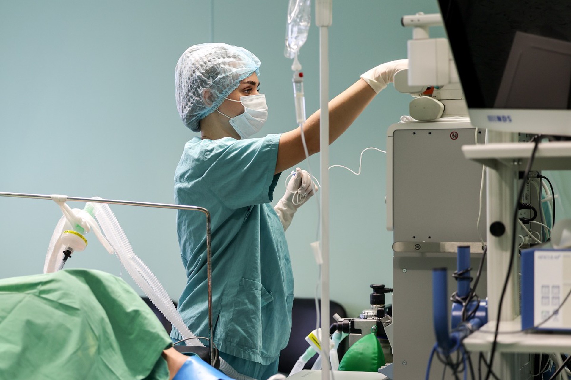 Трансплантация почки стала бесплатной по ОМС