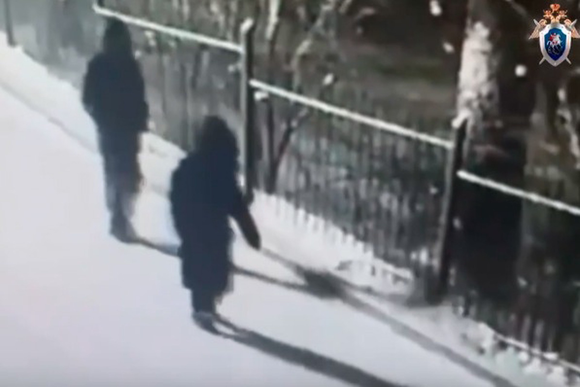 Пропавшие в Красноярске дети не были знакомы между собой