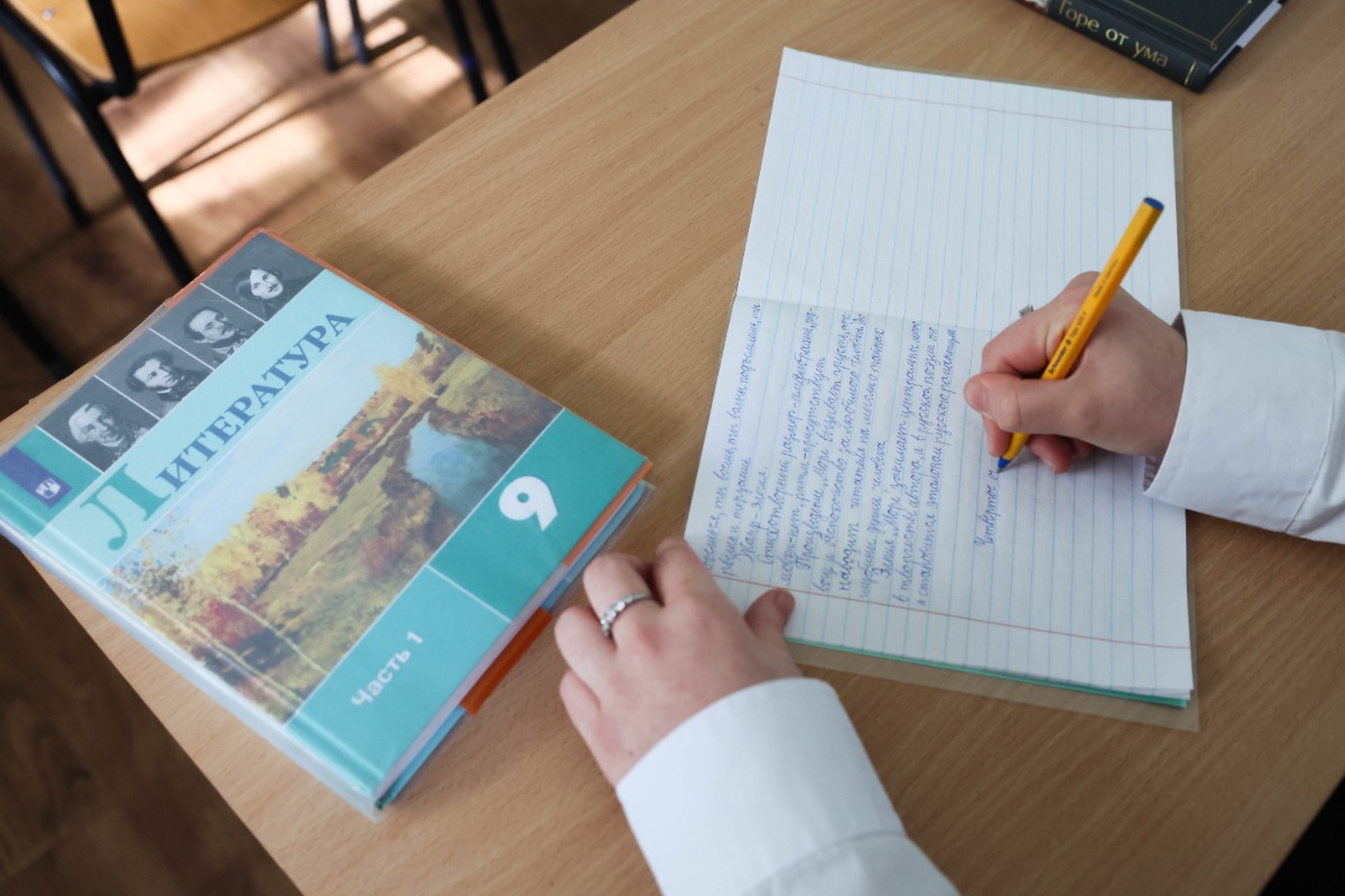 Названы предметы, которыми могут заместить иностранные языки в школах