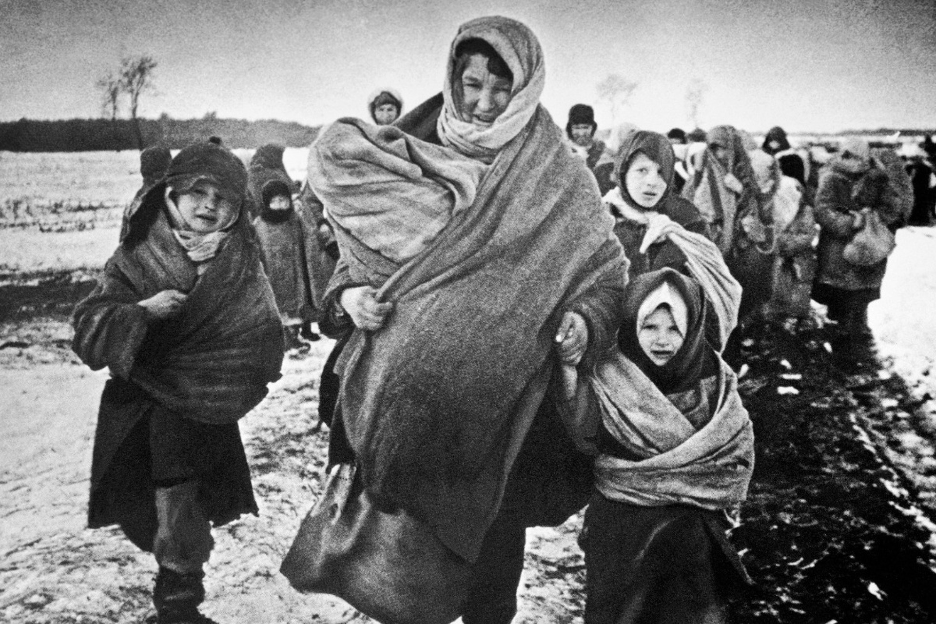 Совет мира призвали признать геноцид советского народа на международном уровне