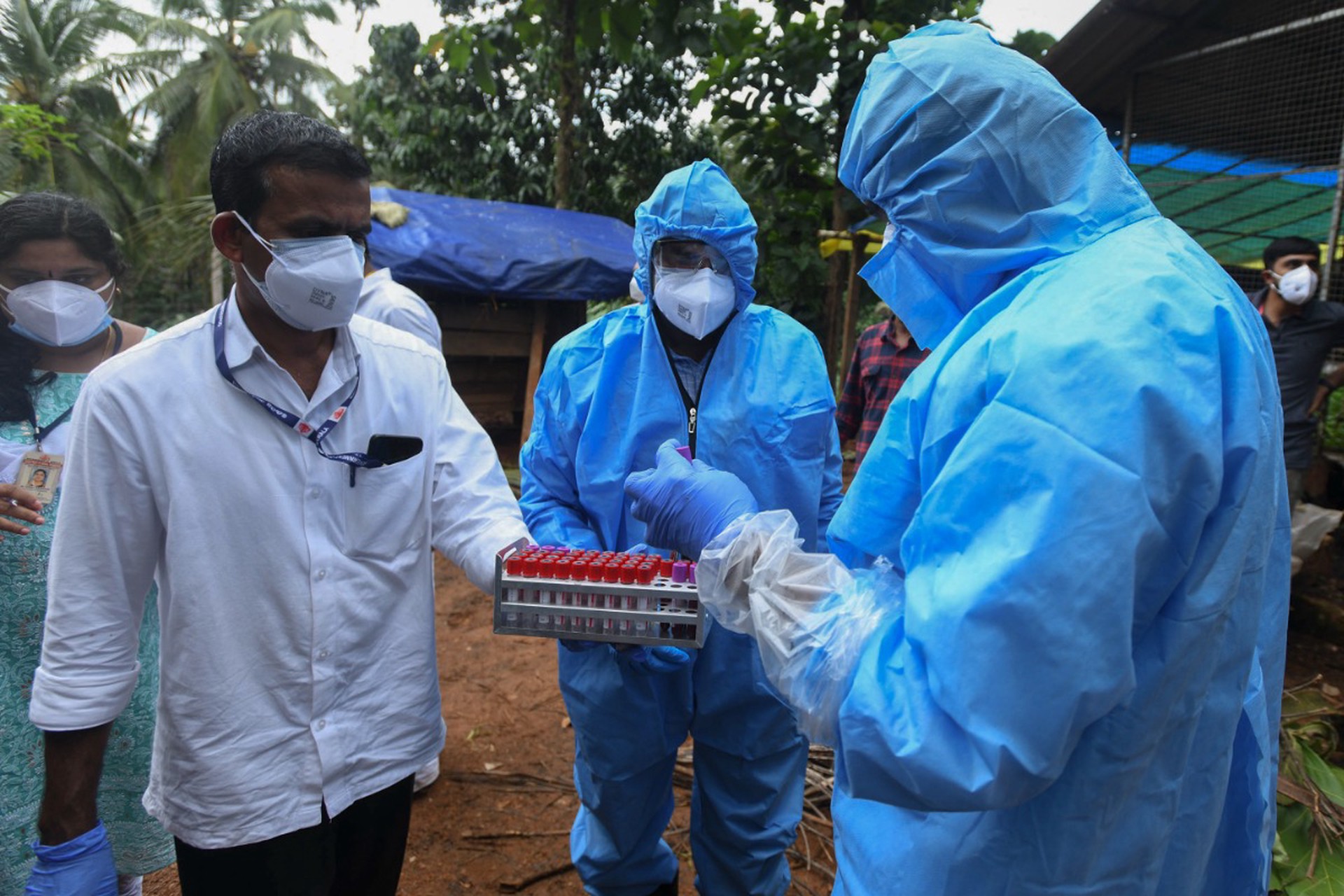 ВОЗ оценила риск распространения вируса Нипах