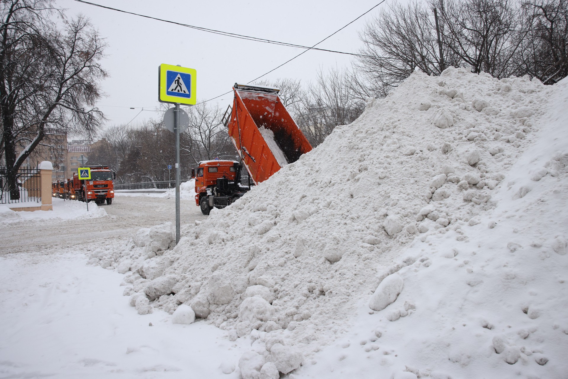 Полуметровые сугробы в Москве могут побить 70-летний рекорд 