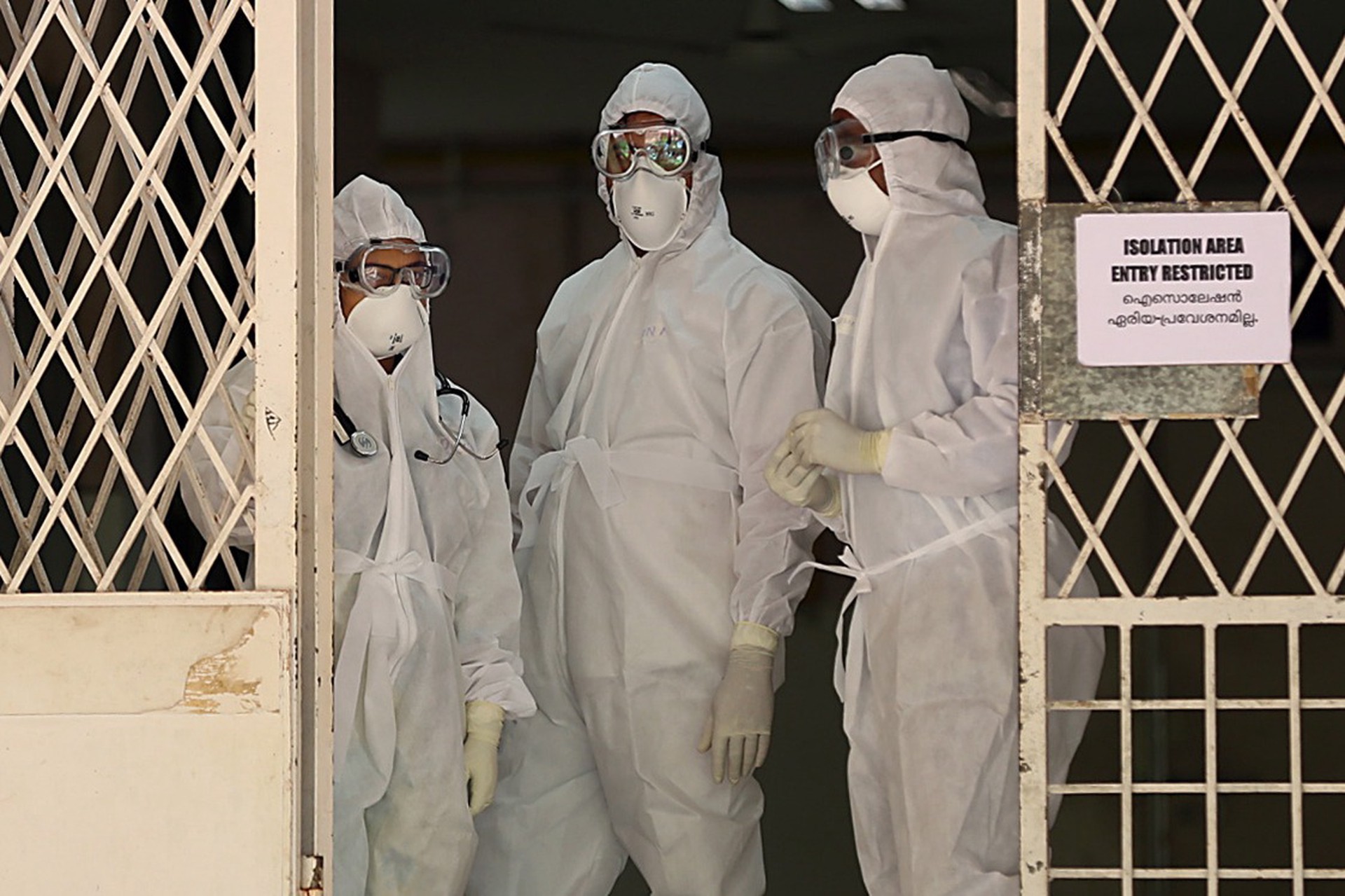 Заражение летальным вирусом Нипах может быть бессимптомным