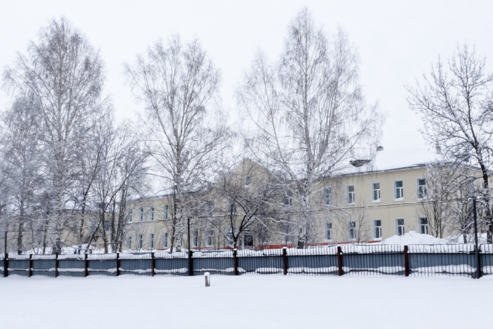 Массовые отстранения начались в прокопьевском интернате