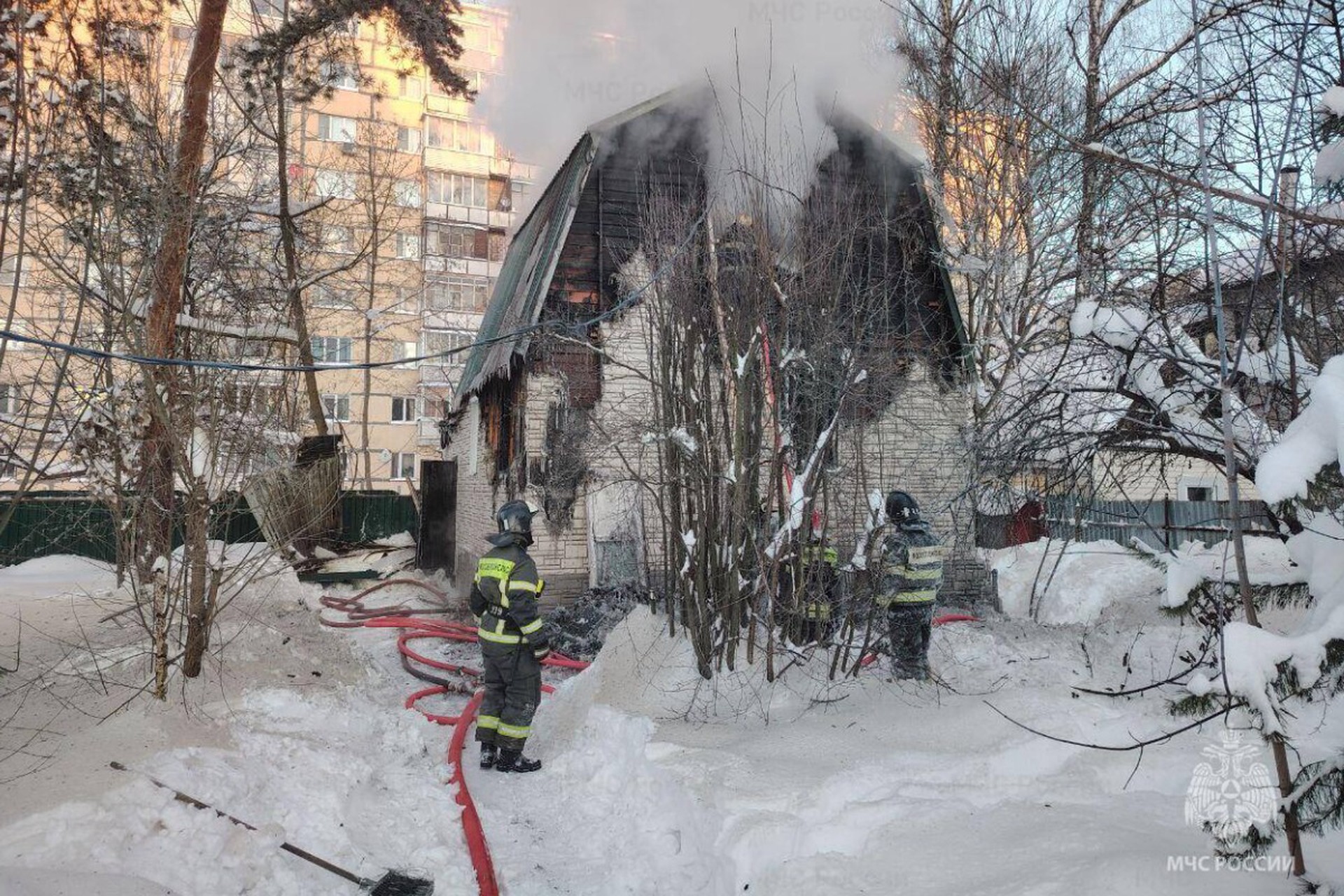Кот спас спящую многодетную семью от пожара