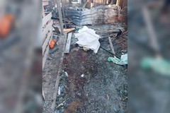 Фото © Пресс-служба губернатора Херсонской области