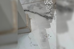 Фото © Tripadvisor / @Footprints394144