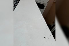 Фото © Tripadvisor / @Footprints394144