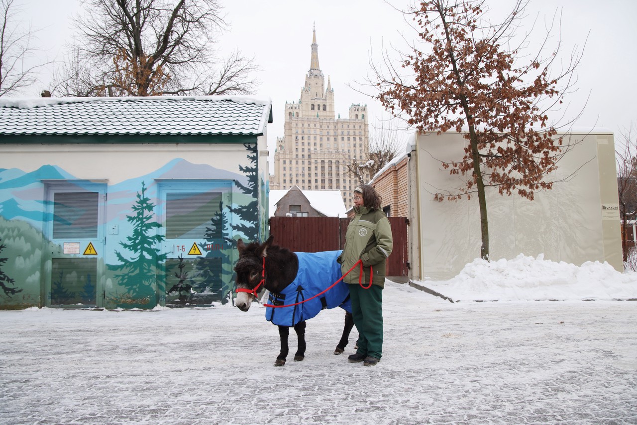 Снежный Армагеддон в Москве, осел-участник СВО, прощание с утонувшим в Босфоре россиянином: главные события января в объективе «Абзаца»