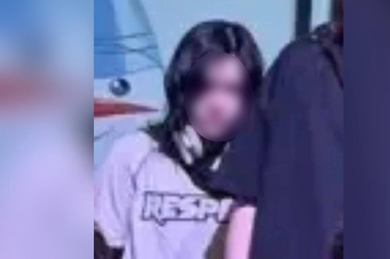 Школьница предупреждала одноклассников о готовящемся нападении