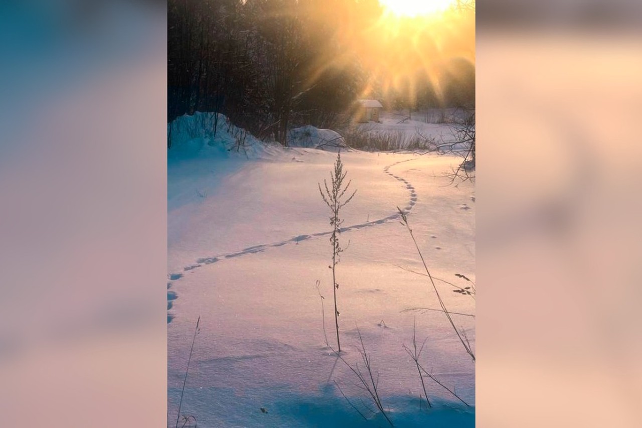 Что известно о загадочном исчезновении служительницы монастыря на Валааме