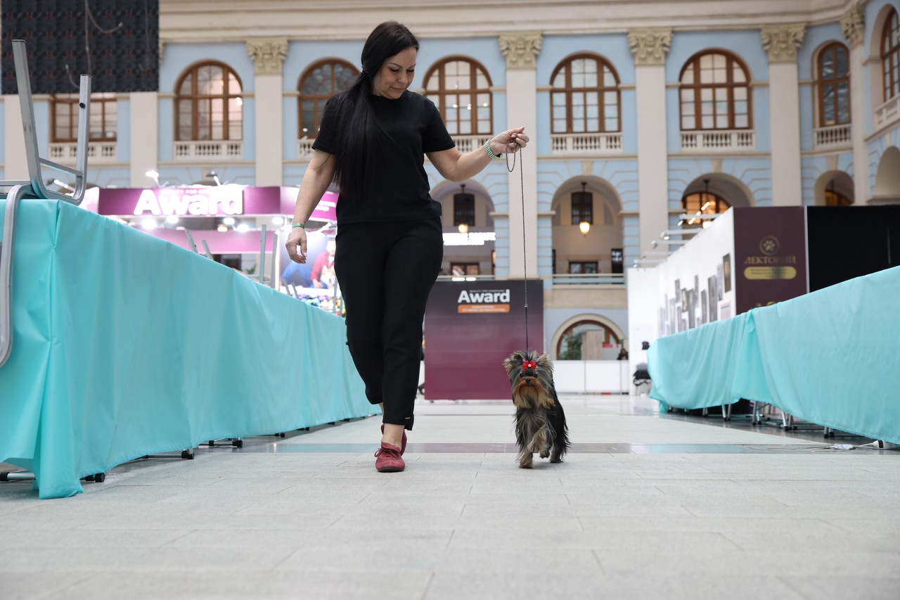 Фото © Анастасия Романова / Абзац