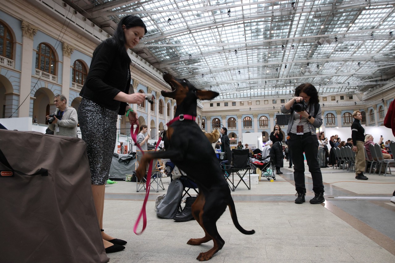 Фото © Анастасия Романова / Абзац