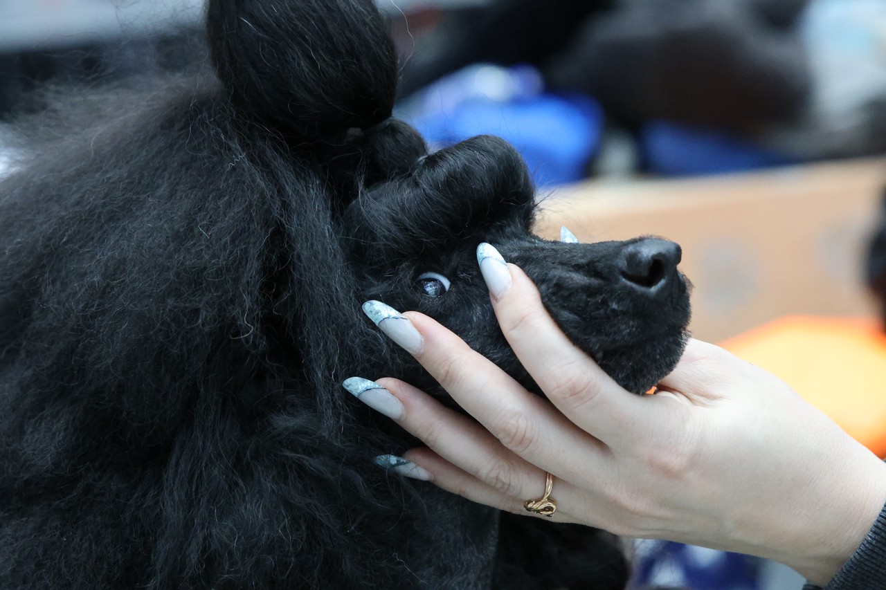 Фото © Анастасия Романова / Абзац