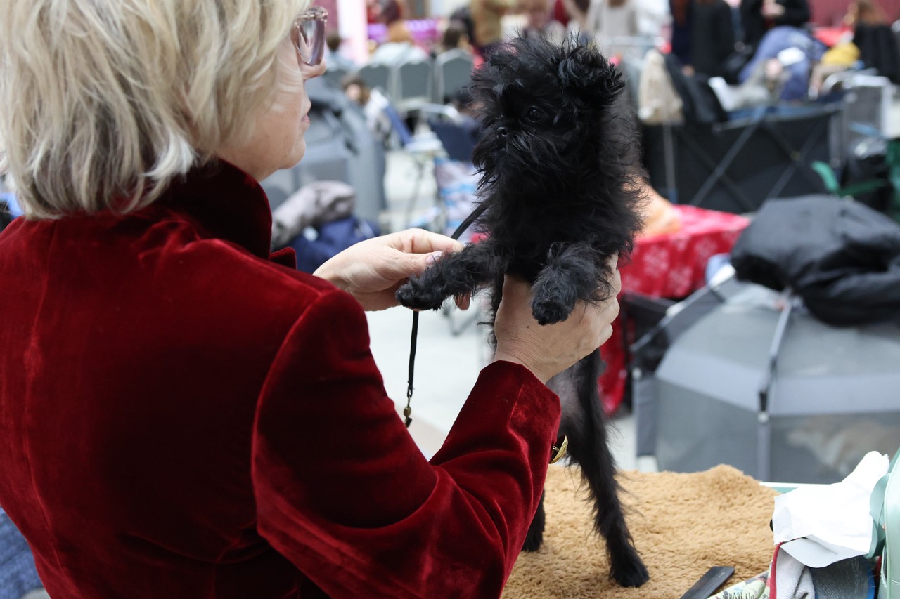 Фото © Анастасия Романова / Абзац