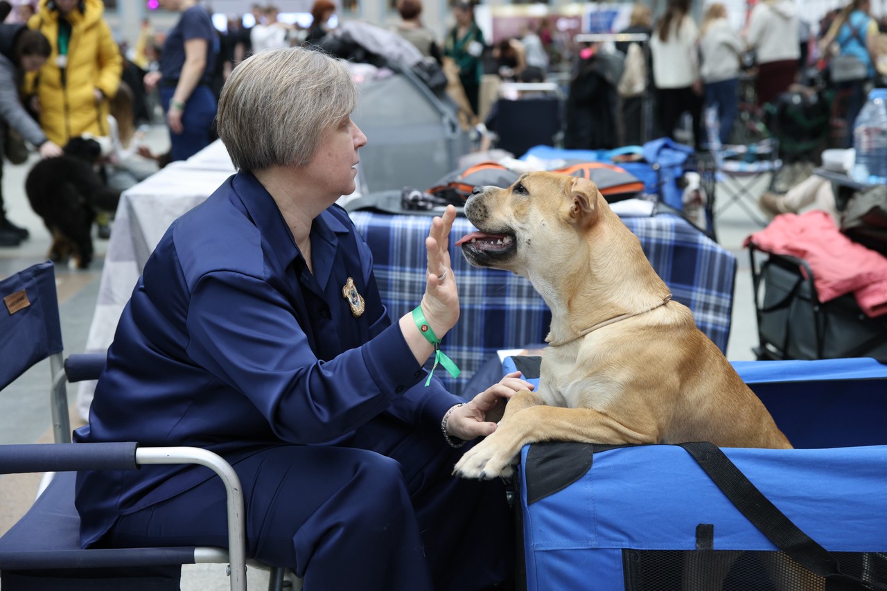 Фото © Анастасия Романова / Абзац