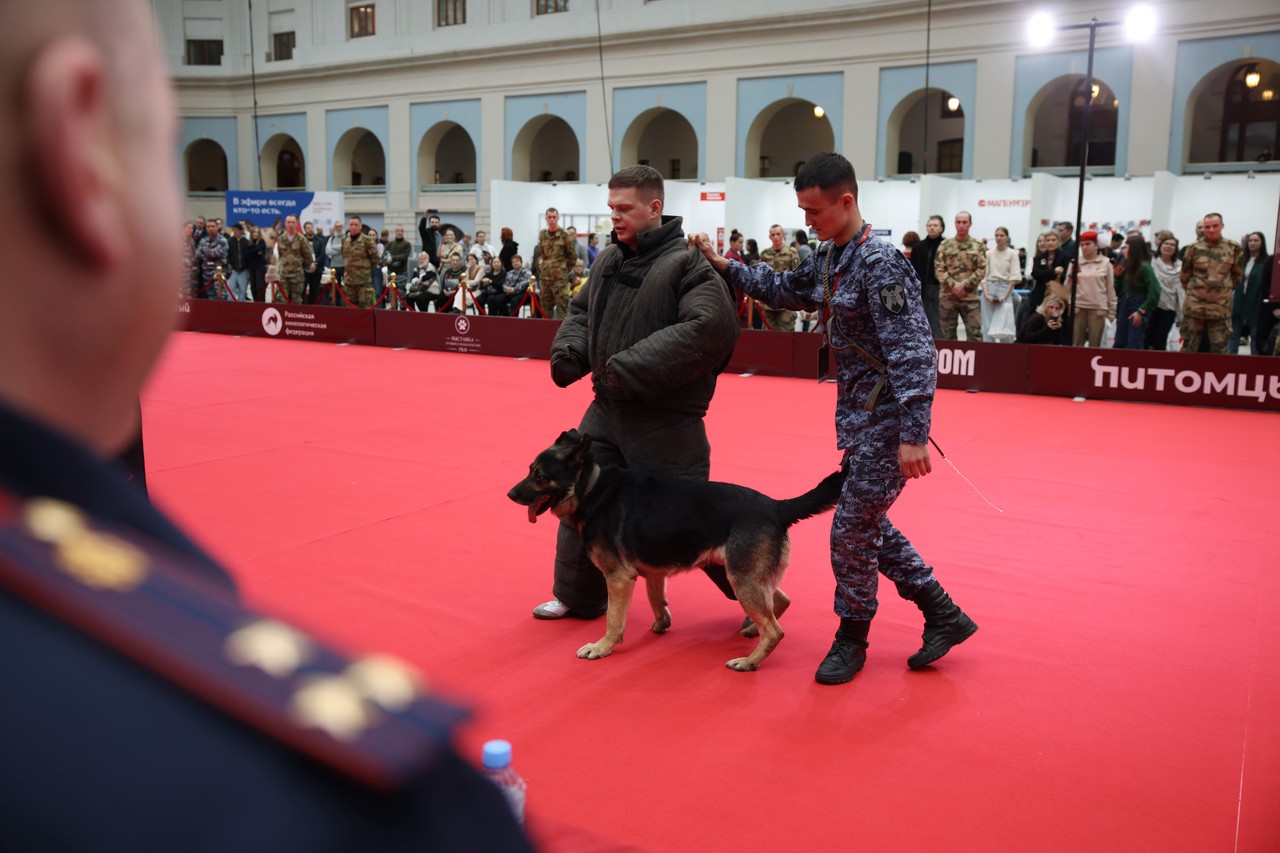 Фото © Анастасия Романова / Абзац