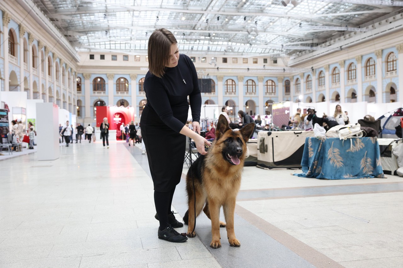 Фото © Анастасия Романова / Абзац