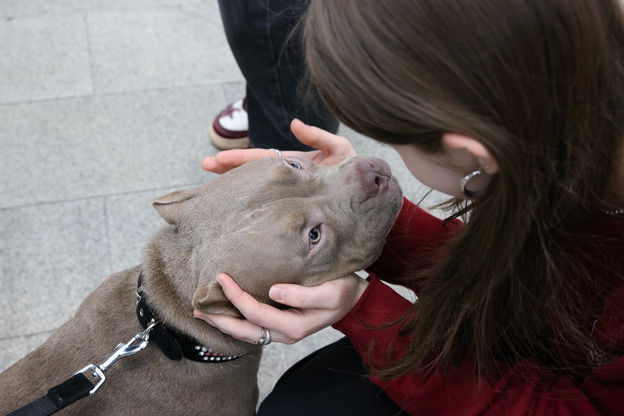 Фото © Анастасия Романова / Абзац