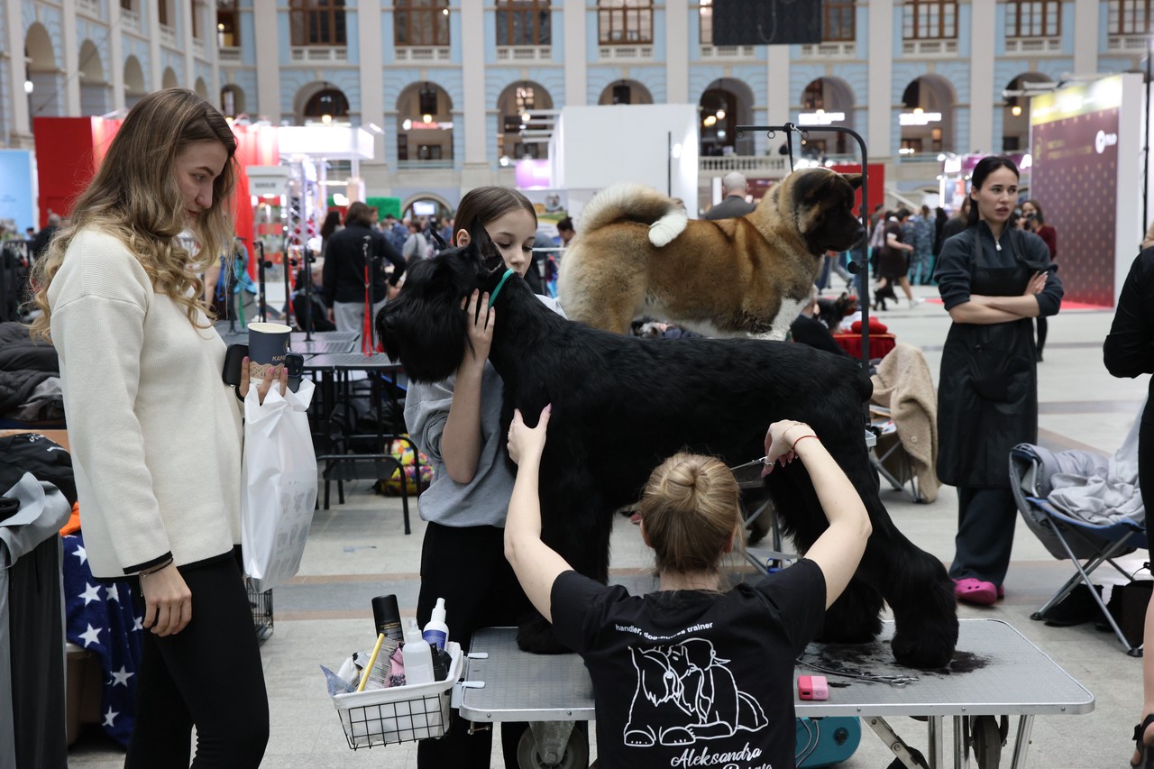 Фото © Анастасия Романова / Абзац