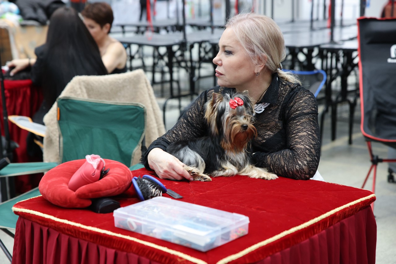 Фото © Анастасия Романова / Абзац