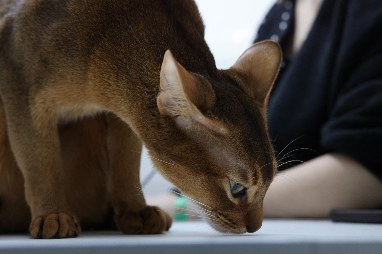 Фото © Анастасия Романова / Абзац