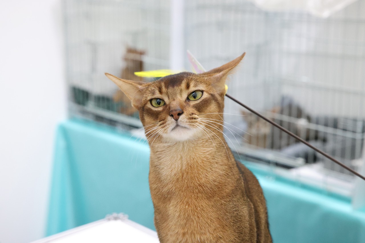 Фото © Анастасия Романова / Абзац