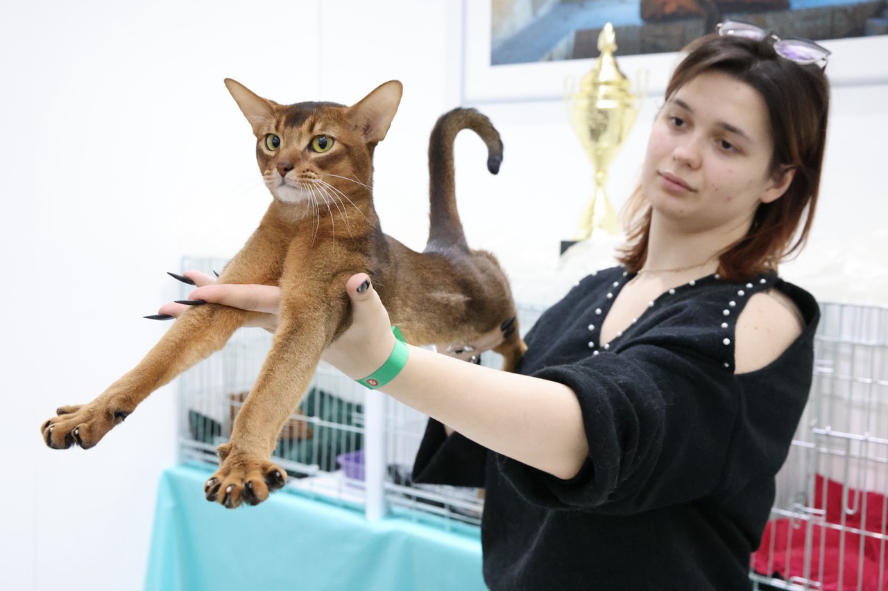 Фото © Анастасия Романова / Абзац