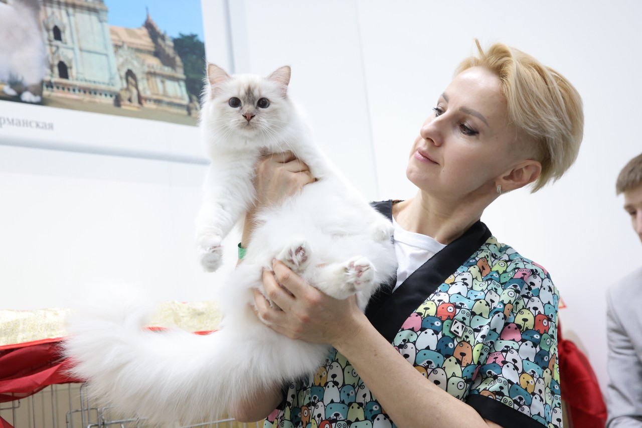 Фото © Анастасия Романова / Абзац