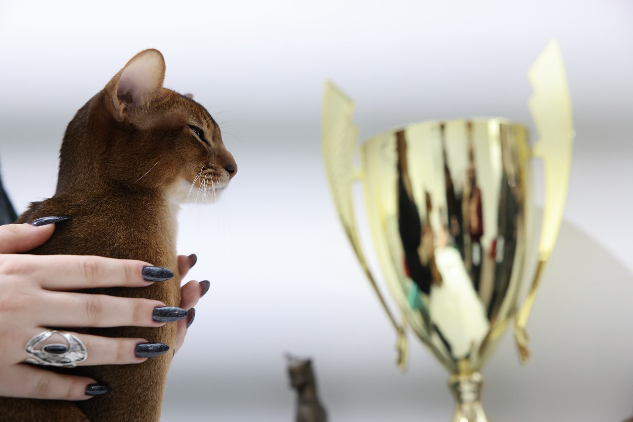 Фото © Анастасия Романова / Абзац