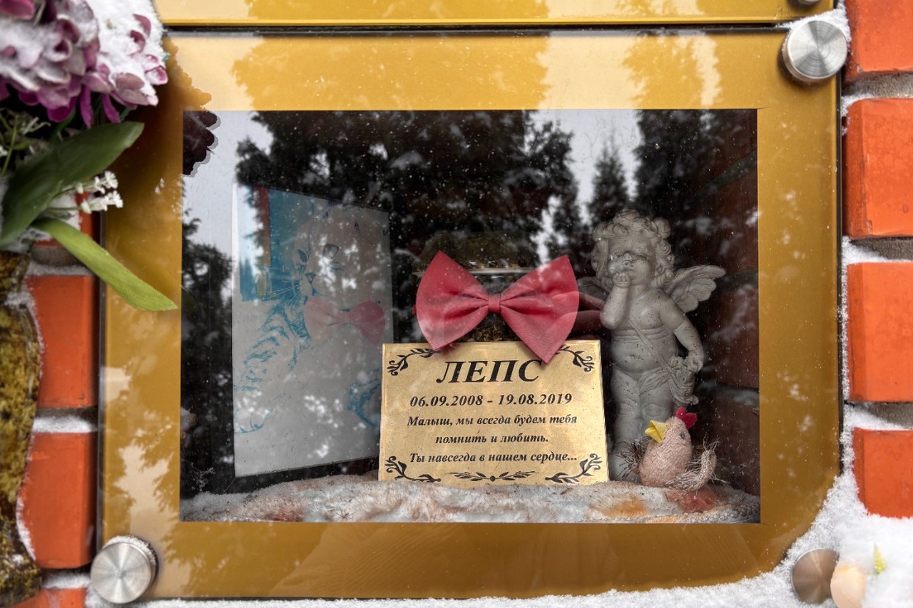 Погост по ГОСТу: как в Москве хоронят домашних животных