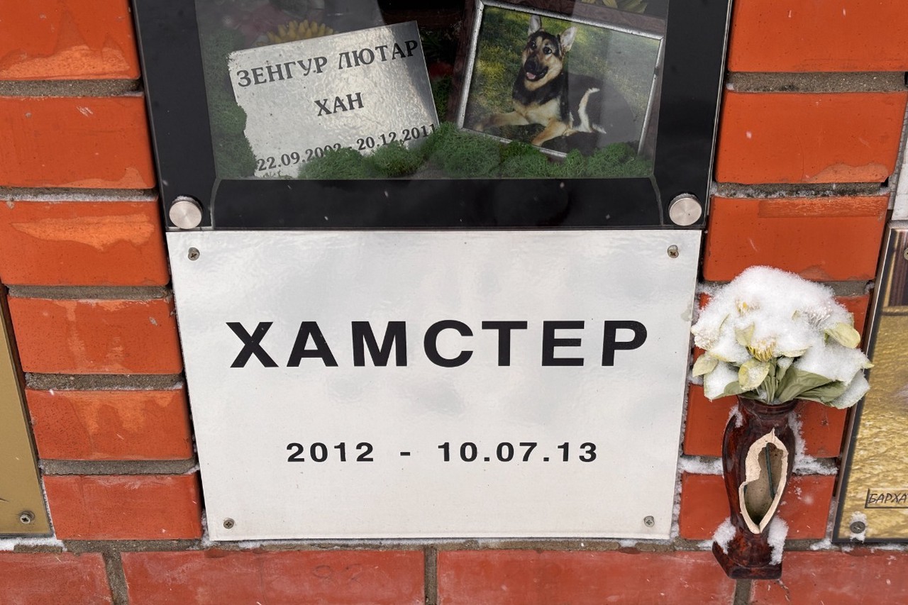 Погост по ГОСТу: как в Москве хоронят домашних животных