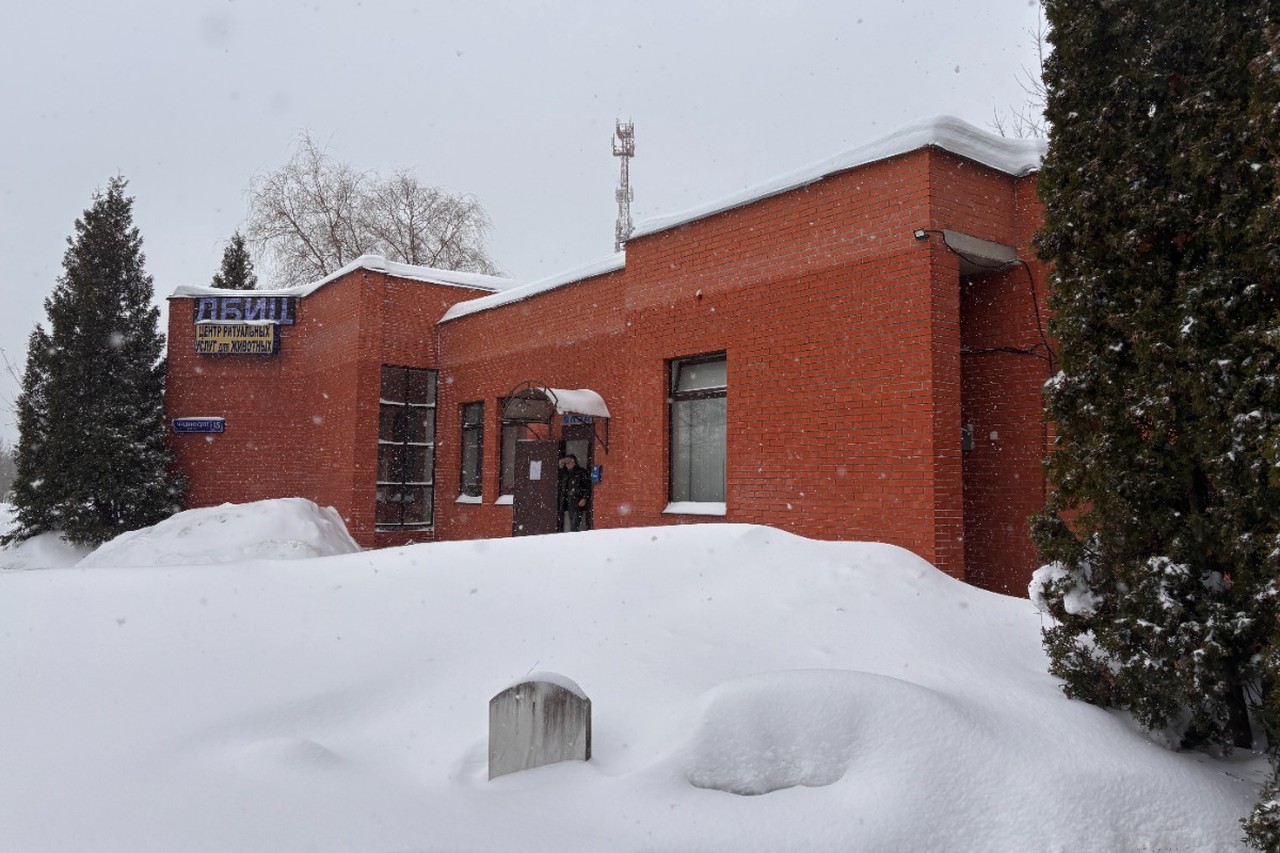 Погост по ГОСТу: как в Москве хоронят домашних животных